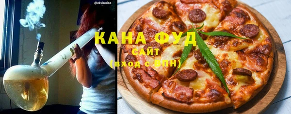 гидра Вяземский