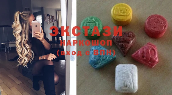 гидра Вяземский